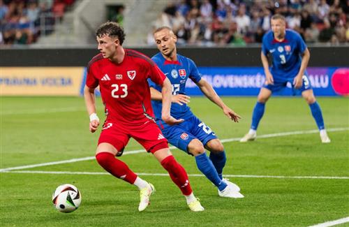 Slowakei gegen Wales